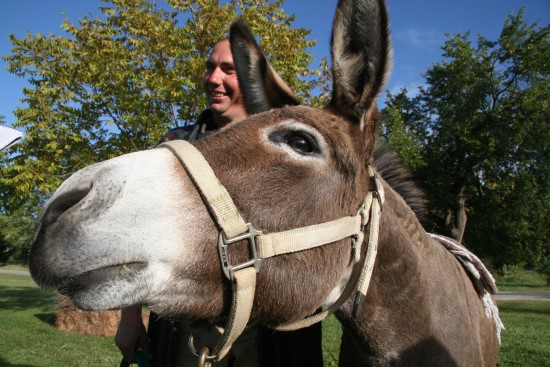 Brad Heath and his donkey, Jacus
