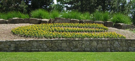 E for ESU - planted yellow flowers - welcome sign