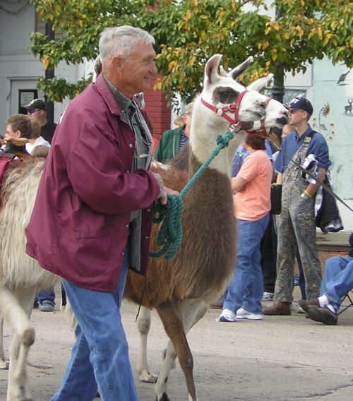 man with llama