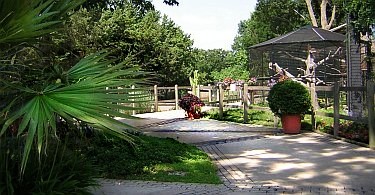 walkway in the Emporia zoo