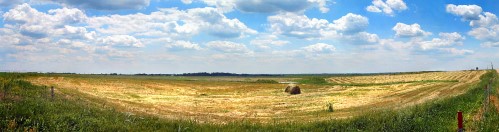 Kansas Pasture, Lyon Country