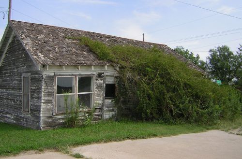 building consumed by weeds