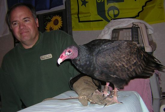 Dennis Denwiddle and turkey vulture