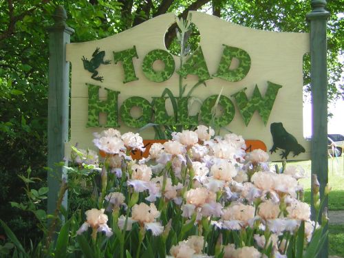 Toad Hollow Iris and Daylily Farm - Emporia