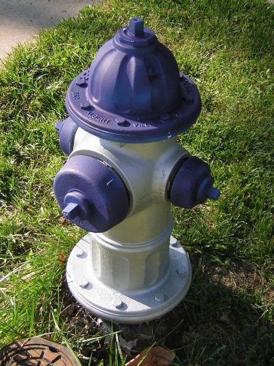 fire hydrant - purple and silver