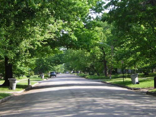 tree-shaded street